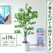 【すぐ飾れる】 フェイクグリーン ドウダンツツジ H約170cm 大型 鉢付き / 法人・開店祝い 店舗・オフィス装飾 空間演出 立札無料・造花/PG158-H29