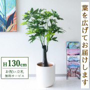 【すぐ飾れる】 フェイクグリーン パキラトランク 130cm 鉢付き / 法人・開店祝い 店舗・オフィス装飾 空間演出 立札無料・造花/PG181-CHC33IV