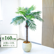 【すぐ飾れる】 フェイクグリーン フェニックス パームツリー ヤシの木 160cm  2分割 鉢付き / 法人・開店祝い 店舗・オフィス装飾 空間演出 立札無料・造花/PG212-BAL35IV