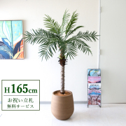 【すぐ飾れる】 フェイクグリーン フェニックス パームツリー ヤシの木 165cm 大型 2分割 鉢付き / 法人・開店祝い 店舗・オフィス装飾 空間演出 立札無料・造花/PG212-KAO38LB