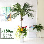 【すぐ飾れる】 フェイクグリーン フェニックス パームツリー ヤシの木 180cm 大型 2分割 鉢付き / 法人・開店祝い 店舗・オフィス装飾 空間演出 立札無料・造花/PG212-Q25WH-UG1-UF2