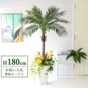 【すぐ飾れる】 フェイクグリーン フェニックス パームツリー ヤシの木 180cm 大型 2分割 鉢付き / 法人・開店祝い 店舗・オフィス装飾 空間演出 立札無料・造花/PG212-Q25WH-UG1-UF3