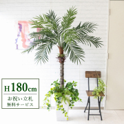 【すぐ飾れる】 フェイクグリーン フェニックス パームツリー ヤシの木 180cm 大型 2分割 鉢付き / 法人・開店祝い 店舗・オフィス装飾 空間演出 立札無料・造花/PG212-Q25WH-UG1