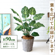 【すぐ飾れる】 フェイクグリーン ゼブラ 90cm 鉢付き / 法人・開店祝い 店舗・オフィス装飾 空間演出 立札無料・造花/PG214-MEL26GY