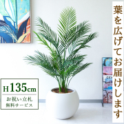 【すぐ飾れる】 フェイクグリーン アレカパーム 135cm 鉢付き / 法人・開店祝い 店舗・オフィス装飾 空間演出 立札無料・造花/PG215-ROM43IV