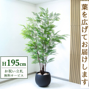 【すぐ飾れる】 フェイクグリーン ファーン 195cm 大型 鉢付き / 法人・開店祝い 店舗・オフィス装飾 空間演出 立札無料・造花/PG233-D42BK