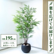 【すぐ飾れる】 フェイクグリーン ファーン H約195cm 大型 鉢付き / 法人・開店祝い 店舗・オフィス装飾 空間演出 立札無料・造花/PG233-D42BK