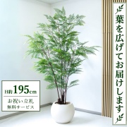 【すぐ飾れる】 フェイクグリーン ファーン H約195cm 大型 鉢付き / 法人・開店祝い 店舗・オフィス装飾 空間演出 立札無料・造花/PG233-ROM43IV