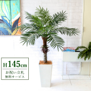 【すぐ飾れる】 フェイクグリーン フェニックス パームツリー ヤシの木 145cm 2分割 鉢付き / 法人・開店祝い 店舗・オフィス装飾 空間演出 立札無料・造花/PG240-Q25WH
