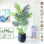 【すぐ飾れる】 フェイクグリーン アレカパーム 195cm 大型 鉢付き / 法人・開店祝い 店舗・オフィス装飾 空間演出 立札無料・造花/PG243-BAL42BK