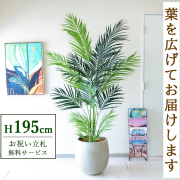 【すぐ飾れる】 フェイクグリーン アレカパーム 195cm 大型 鉢付き / 法人・開店祝い 店舗・オフィス装飾 空間演出 立札無料・造花/PG243-BAL42IV