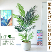 【すぐ飾れる】 フェイクグリーン アレカパーム 190cm 大型 鉢付き / 法人・開店祝い 店舗・オフィス装飾 空間演出 立札無料・造花/PG243-D42IV