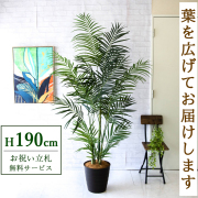 【すぐ飾れる】 フェイクグリーン アレカパーム 190cm 大型 鉢付き / 法人・開店祝い 店舗・オフィス装飾 空間演出 立札無料・造花/PG243-M30DB