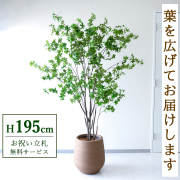 【すぐ飾れる】 フェイクグリーン ドウダンツツジ 195cm  大型 鉢付き / 法人・開店祝い 店舗・オフィス装飾 空間演出 立札無料・造花/PG261-KAO38LB