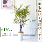 【すぐ飾れる】 フェイクグリーン ファーン 120cm  鉢付き / 法人・開店祝い 店舗・オフィス装飾 空間演出 立札無料・造花/PG269-X20WH