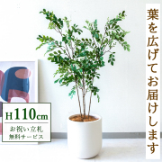 【すぐ飾れる】 フェイクグリーン トネリコ 110cm  鉢付き / 法人・開店祝い 店舗・オフィス装飾 空間演出 立札無料・造花/PG276-CHC25IV