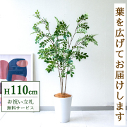 【すぐ飾れる】 フェイクグリーン トネリコ 110cm  鉢付き / 法人・開店祝い 店舗・オフィス装飾 空間演出 立札無料・造花/PG276-X20WH