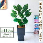 【すぐ飾れる】 フェイクグリーン ポトス 115cm 鉢付き / 法人・開店祝い 店舗・オフィス装飾 空間演出 立札無料・造花/PG290-Q25BK