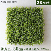 造花壁面緑化ボード【施工業者様向け】50cm×50cmサイズボード×2枚セット 軽量合板ベース / 組み合わせ方は自由！！ グリーンパネル ウォールグリーン フェイク 壁掛け 人工観葉 内装 店内 店舗 装飾 ディスプレイ インテリア 施設/PH002-5050-SET2(ボックスウッドベース)