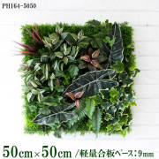 造花壁面緑化ボード(施工業者様向け)/50×50/デザイン 通販|造花 造花壁面緑化ボード(施工業者様向け)/50×50/デザイン 通販|造花