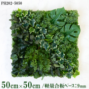 造花壁面緑化ボード(施工業者様向け)/50×50/デザイン 通販|造花 造花壁面緑化ボード(施工業者様向け)/50×50/デザイン 通販|造花