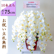 造花 胡蝶蘭/10本立ち/白(ホワイト)/H約75cm/ブラウンラッピング/ 開店祝い 開院祝い 開業祝い 新築祝い 開店花 お祝い花 鉢植え 立札無料 プレゼント 贈答 就任 栄転 昇進 お祝い ギフト 移転 就任【PK1001-BRWRAP】