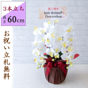 造花 胡蝶蘭/3本立ち/白(ホワイト)/H約60cm/フェイク 開店祝い 開院祝い 開業祝い 新築祝い 開店花 お祝い花 鉢植え 立札無料 プレゼント 贈答 就任 栄転 昇進 お祝い ギフト 移転 就任【PK301-BRWRAP】