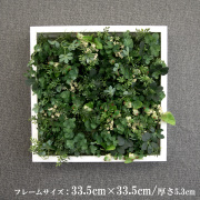 壁掛けアレンジ 造花 ウォールグリーン フェイクグリーン フレーム 壁面緑化 ウォールデコ 壁面 アレンジ ディスプレイ インテリア おしゃれ 店舗装飾【PW104-ORI-335x335-WH 壁掛けウッド調フレームフェイクグリーンアレンジ(グリーンミックス)】