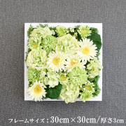 壁掛けアレンジ 造花 ウォールグリーン フェイクグリーン フレーム 壁面緑化 ウォールデコ 壁面 アレンジ ディスプレイ インテリア おしゃれ 店舗装飾【PW122-ORI-30x30-WH 壁掛けウッドフレーム造花フラワーアレンジメント】