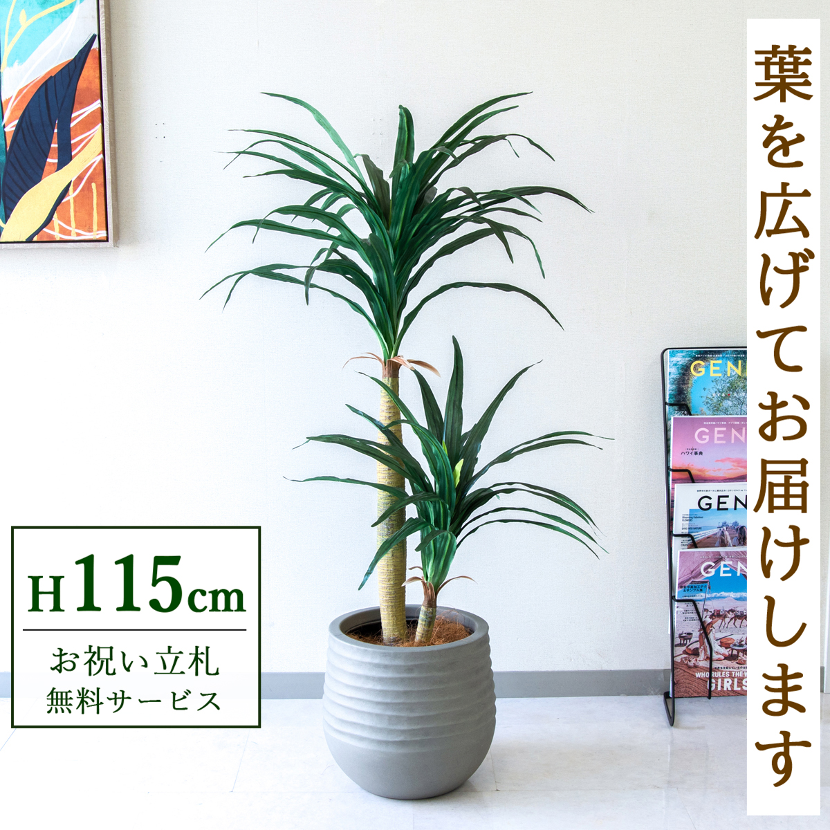 【すぐ飾れる】 フェイクグリーン ドラセナコンシナ 115cm  鉢付き / 法人・開店祝い 店舗・オフィス装飾 空間演出 立札無料・造花/PG014-J30