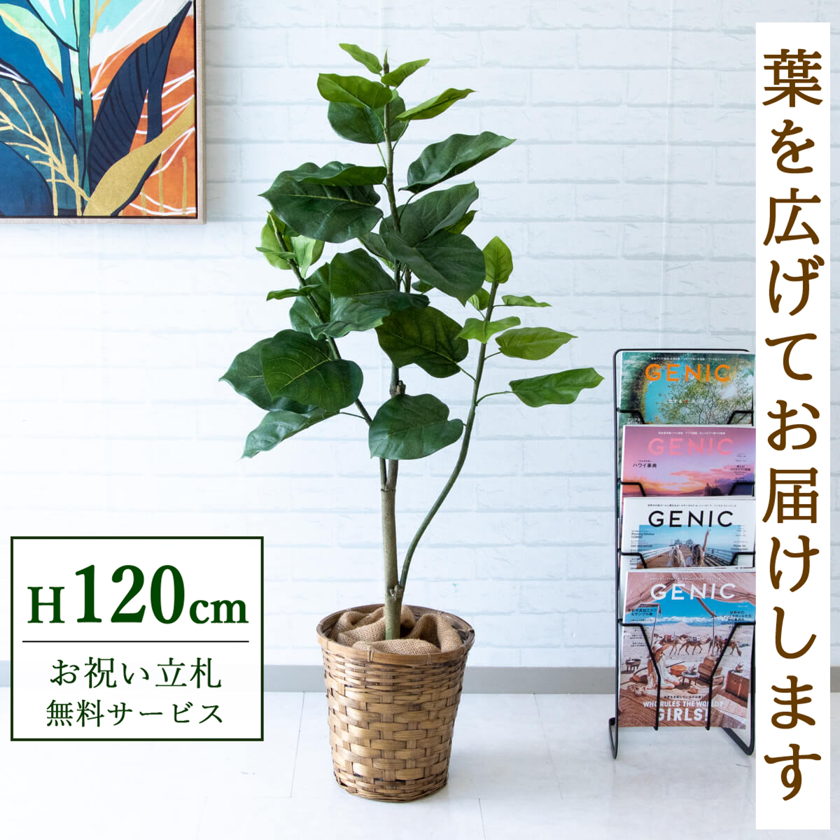 【すぐ飾れる】 フェイクグリーン フィカス ウンベラータ 120cm 鉢付き / 法人・開店祝い 店舗・オフィス装飾 空間演出 立札無料・造花/PG077-S24