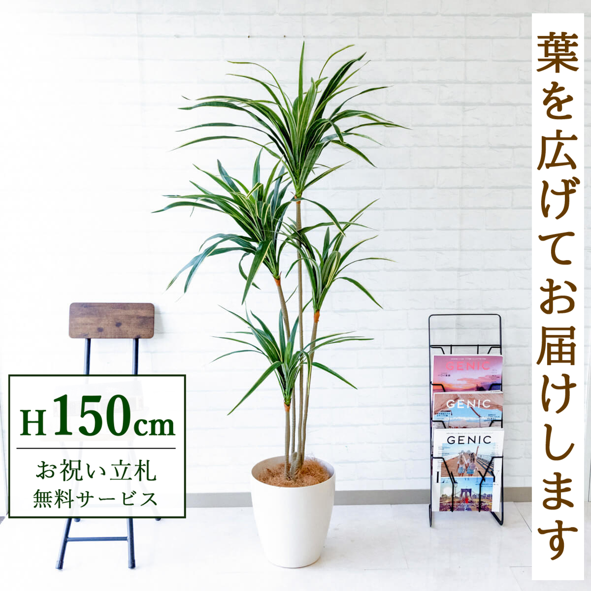 【すぐ飾れる】 フェイクグリーン ユッカ 150cm 鉢付き / 法人・開店祝い 店舗・オフィス装飾 空間演出 立札無料・造花/PG079-A265WH
