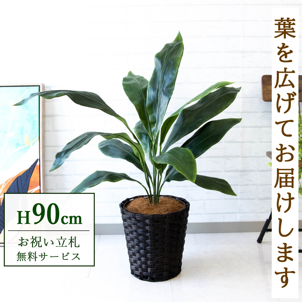 【すぐ飾れる】 フェイクグリーン ハラン 90cm  鉢付き / 法人・開店祝い 店舗・オフィス装飾 空間演出 立札無料・造花/PG083-MEL26DB