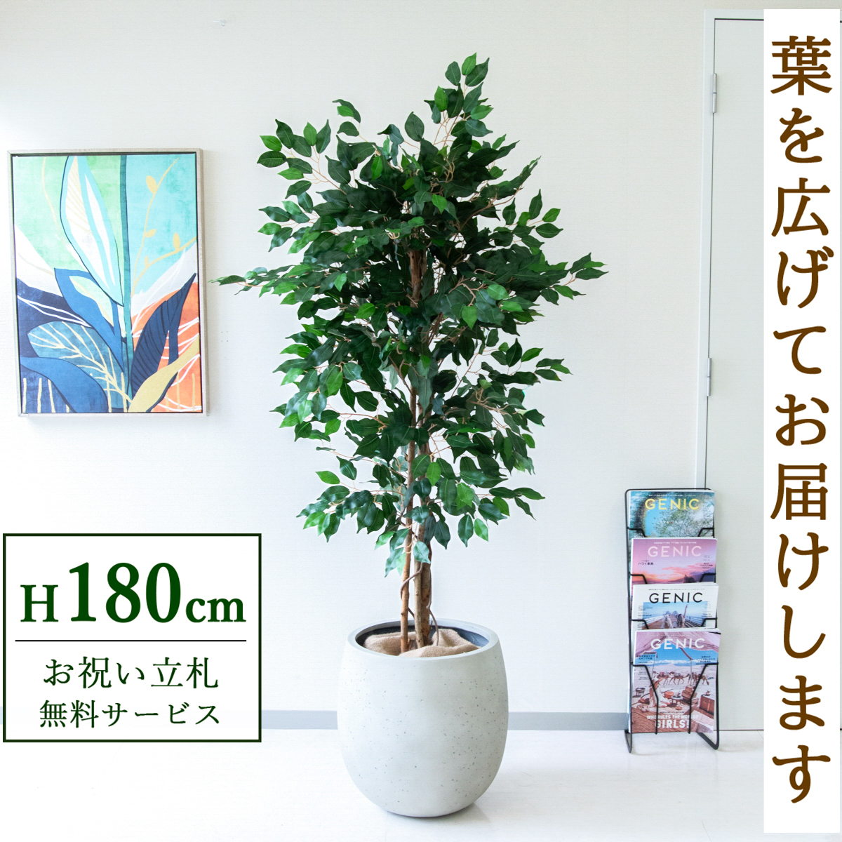 【すぐ飾れる】 フェイクグリーン フィカス ベンジャミン 180cm  大型 鉢付き / 法人・開店祝い 店舗・オフィス装飾 空間演出 立札無料・造花/PG091-BAL42IV