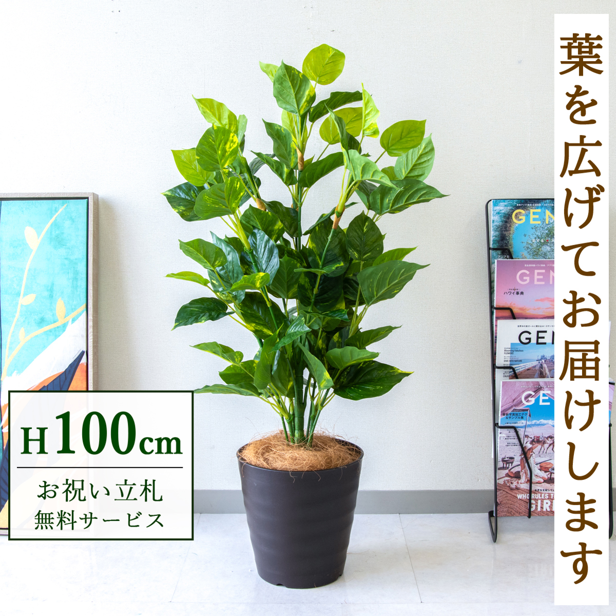 【すぐ飾れる】 フェイクグリーン フレッシュポトス 100cm 鉢付き / 法人・開店祝い 店舗・オフィス装飾 空間演出 立札無料・造花/PG093-B240BR