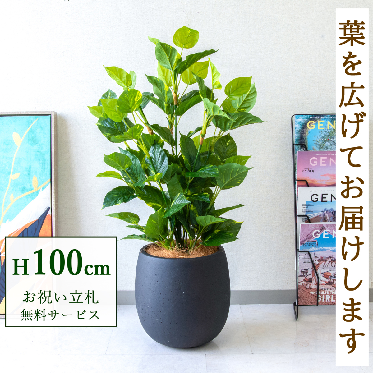 【すぐ飾れる】 フェイクグリーン フレッシュポトス 100cm 鉢付き / 法人・開店祝い 店舗・オフィス装飾 空間演出 立札無料・造花/PG093-BAL30BK