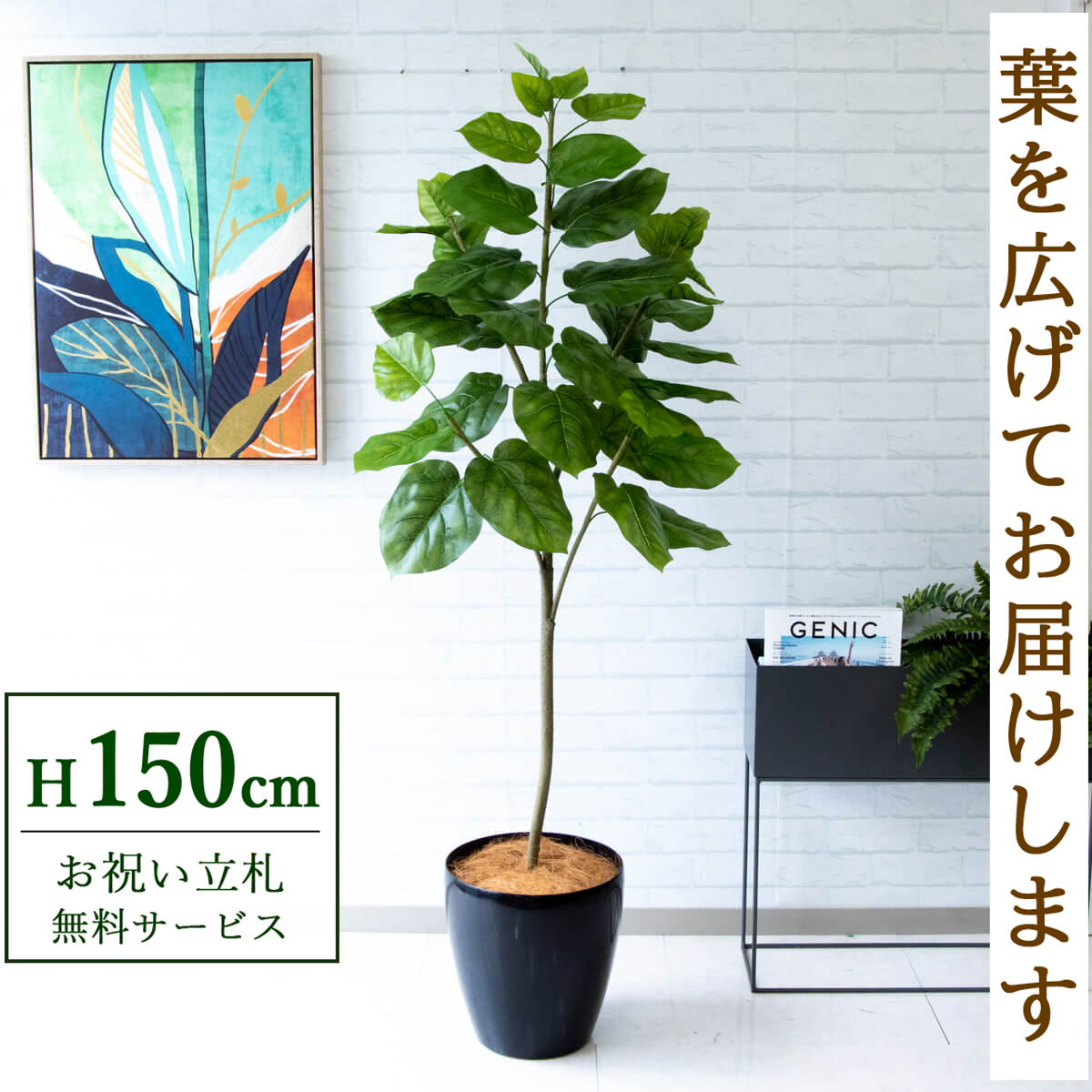【すぐ飾れる】 フェイクグリーン フィカス ウンベラータ 150cm 鉢付き / 法人・開店祝い 店舗・オフィス装飾 空間演出 立札無料・造花/PG096-A300BK