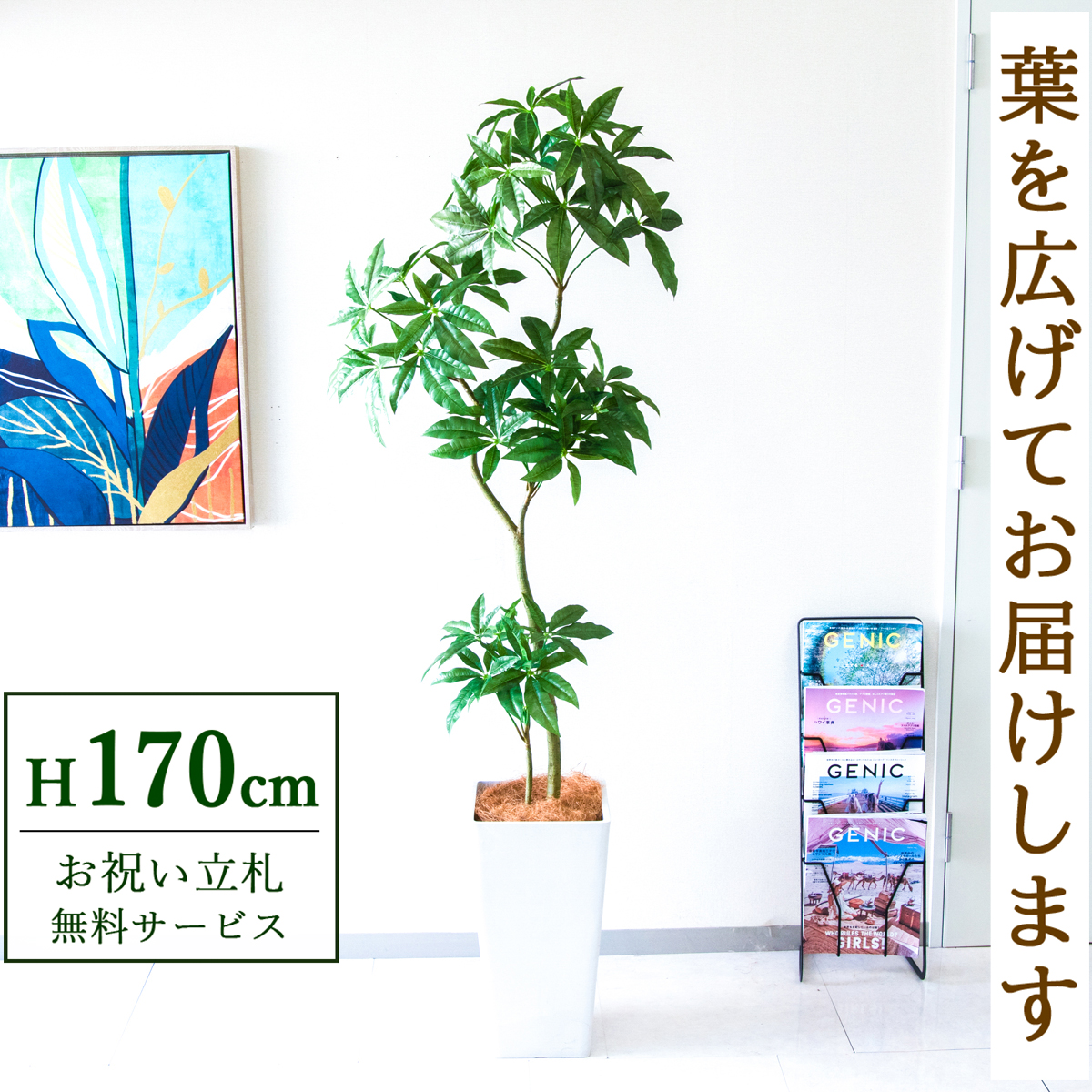 【すぐ飾れる】 フェイクグリーン パキラ 170cm  大型 鉢付き / 法人・開店祝い 店舗・オフィス装飾 空間演出 立札無料・造花/PG1002-Q25WH