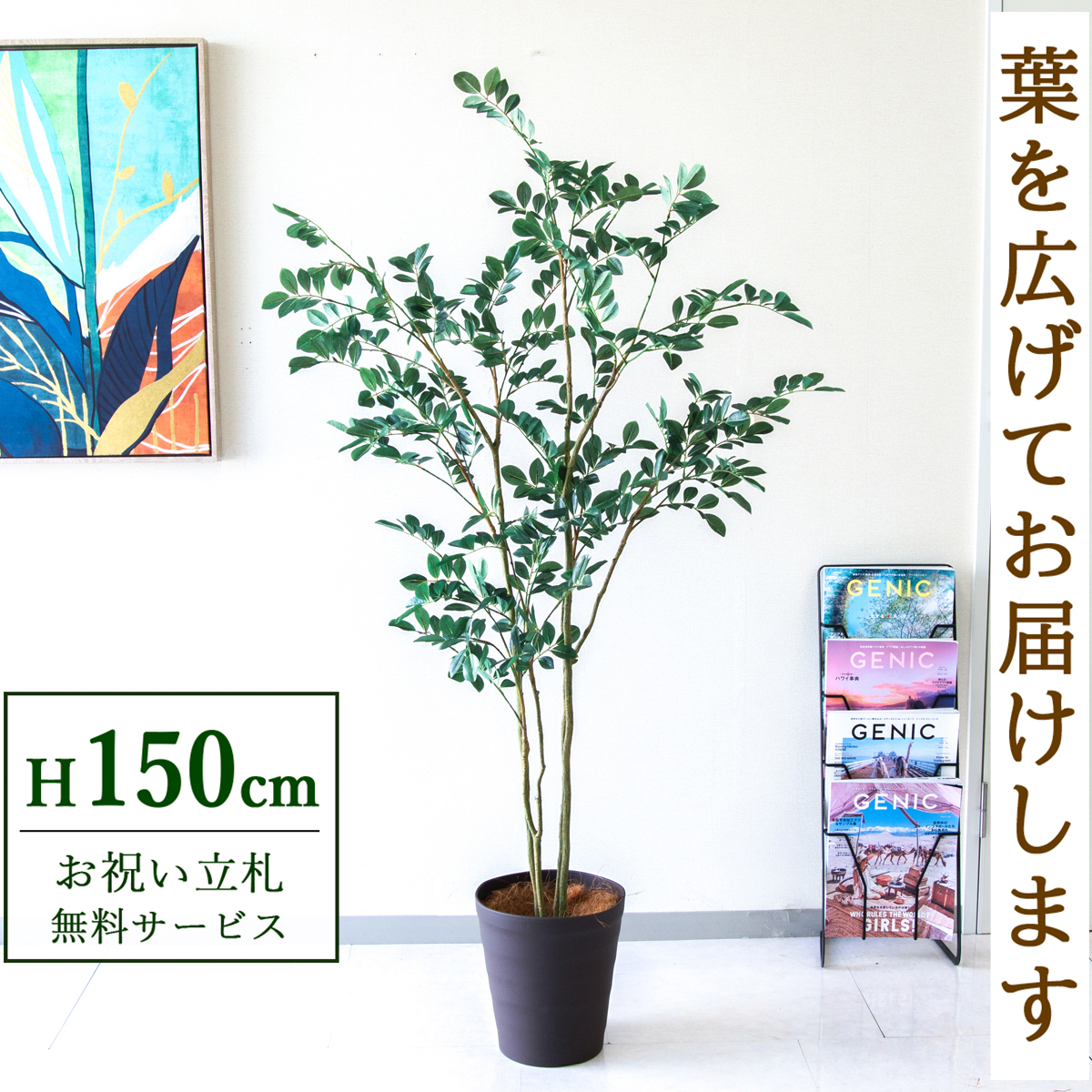 【すぐ飾れる】 フェイクグリーン フィカス ベンジャミン 150cm  鉢付き / 法人・開店祝い 店舗・オフィス装飾 空間演出 立札無料・造花/PG1004-B240BR