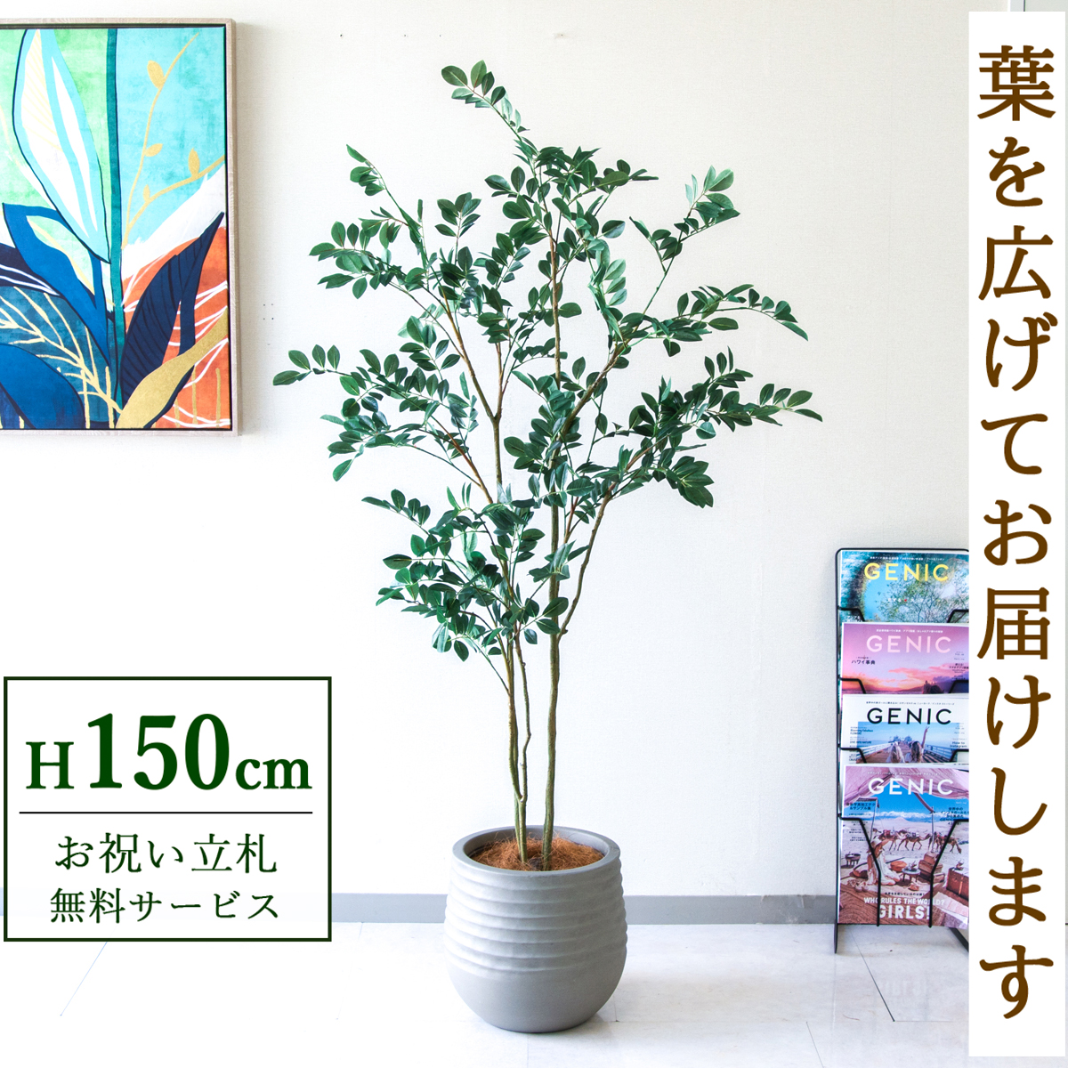 【すぐ飾れる】 フェイクグリーン フィカス ベンジャミン 150cm  鉢付き / 法人・開店祝い 店舗・オフィス装飾 空間演出 立札無料・造花/PG1004-J30