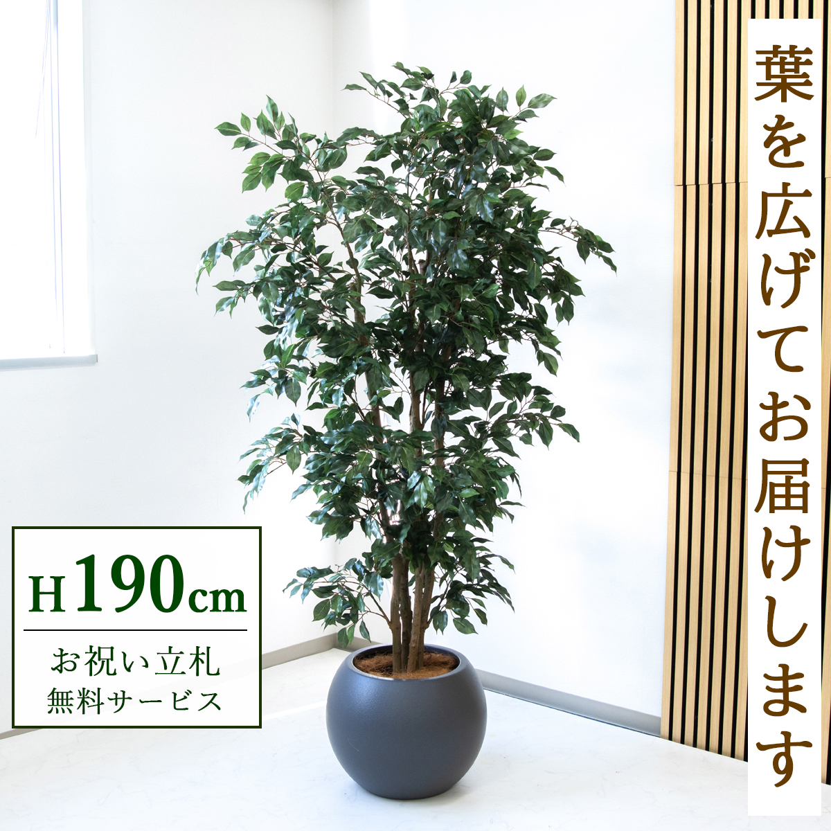 【すぐ飾れる】 フェイクグリーン フィカス ベンジャミン 190cm  大型 鉢付き / 法人・開店祝い 店舗・オフィス装飾 空間演出 立札無料・造花/PG1006-ROM43GY