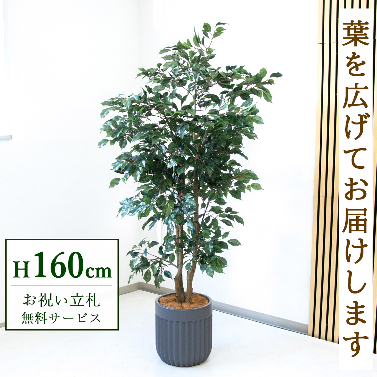 【すぐ飾れる】 フェイクグリーン フィカス ベンジャミン 160cm  鉢付き / 法人・開店祝い 店舗・オフィス装飾 空間演出 立札無料・造花/PG1007-BPK29GY