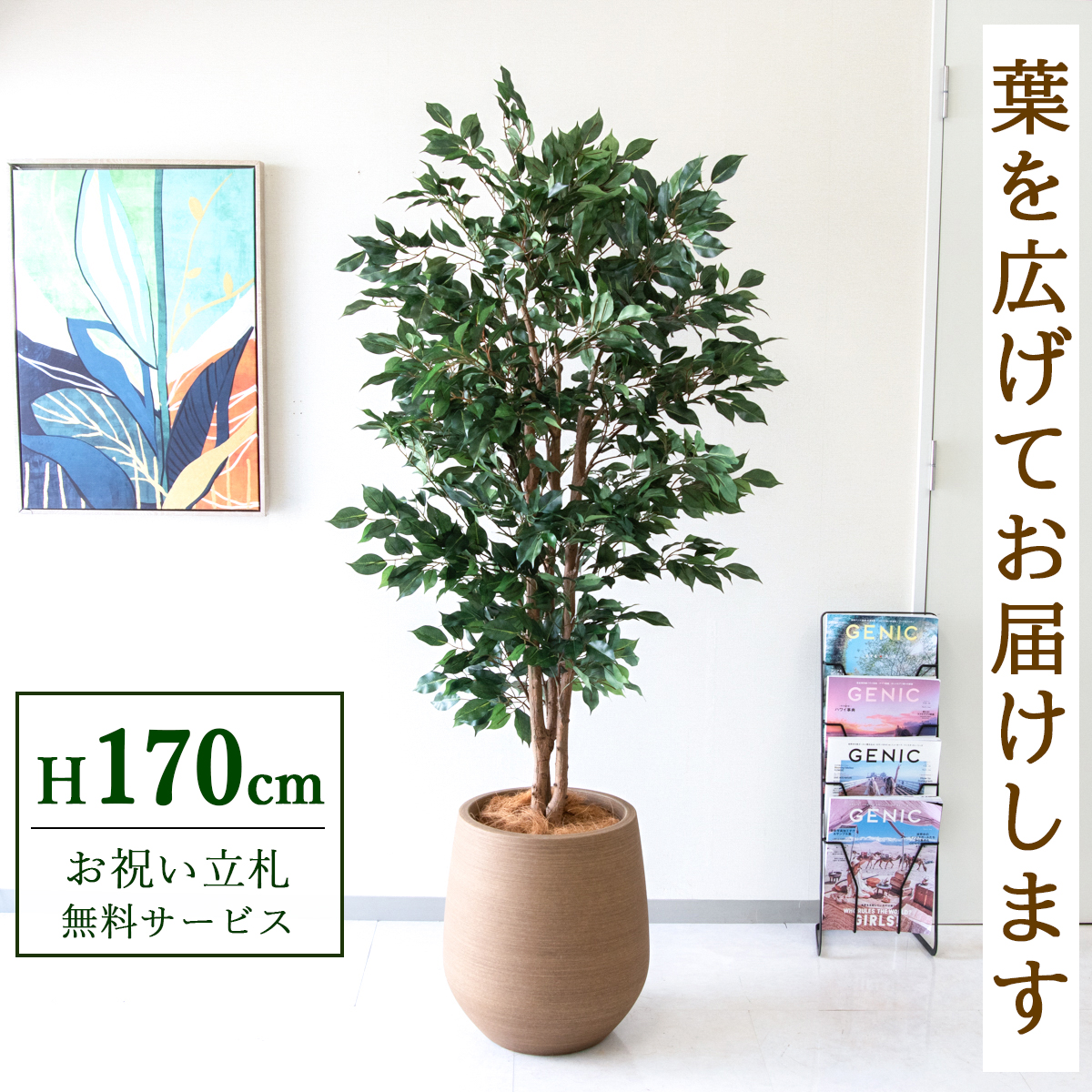 【すぐ飾れる】 フェイクグリーン フィカス ベンジャミン 170cm  大型 鉢付き / 法人・開店祝い 店舗・オフィス装飾 空間演出 立札無料・造花/PG1007-KAO38LB