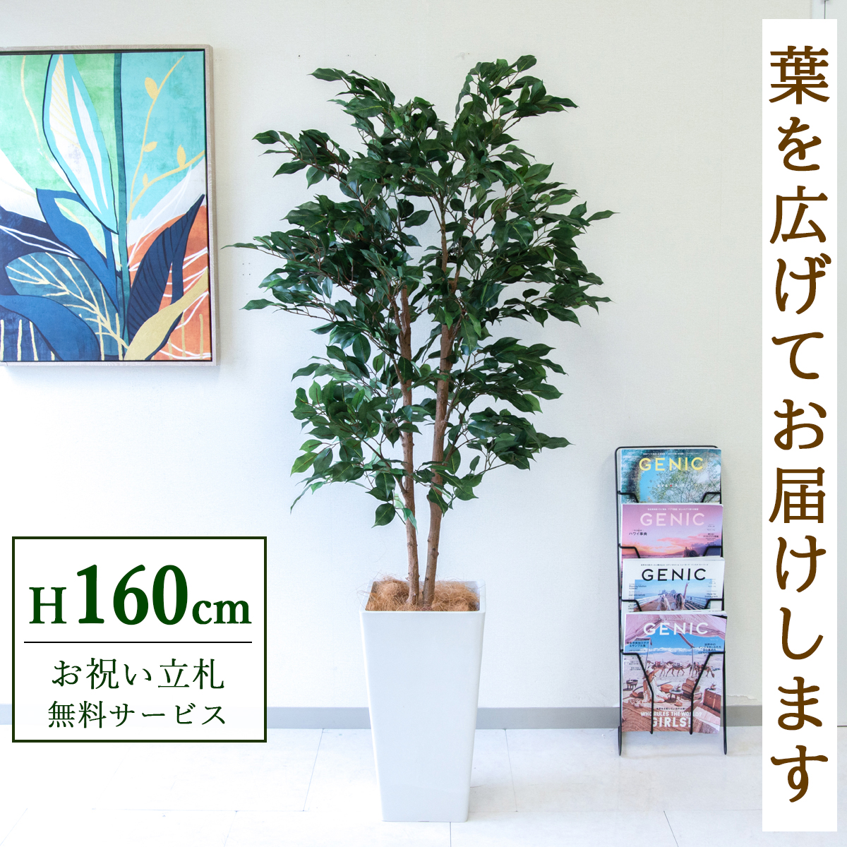 【すぐ飾れる】 フェイクグリーン フィカス ベンジャミン 160cm  鉢付き / 法人・開店祝い 店舗・オフィス装飾 空間演出 立札無料・造花/PG1008-Q25WH