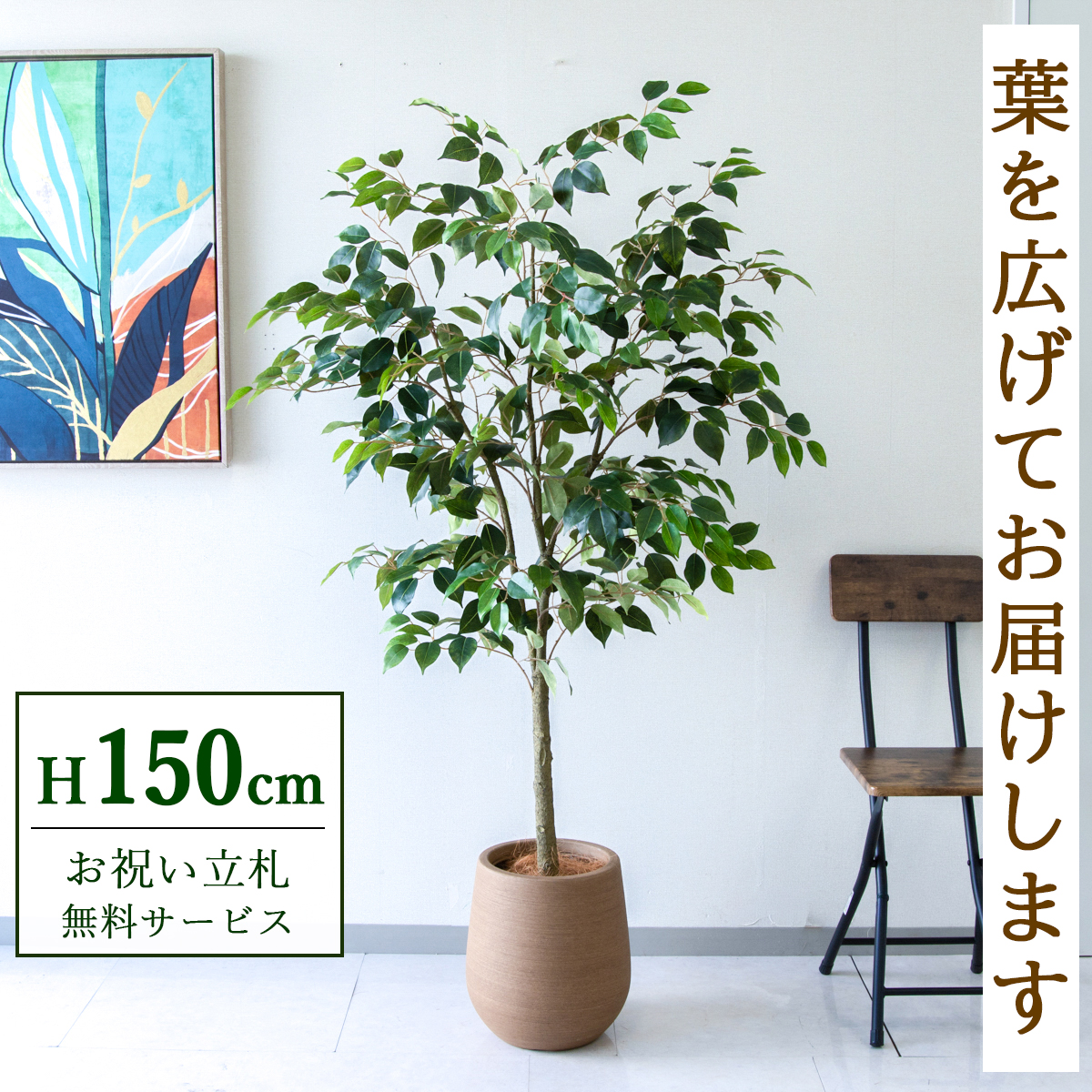 【すぐ飾れる】 フェイクグリーン フィカス ベンジャミン 150cm  鉢付き / 法人・開店祝い 店舗・オフィス装飾 空間演出 立札無料・造花/PG1012-KAO27LB