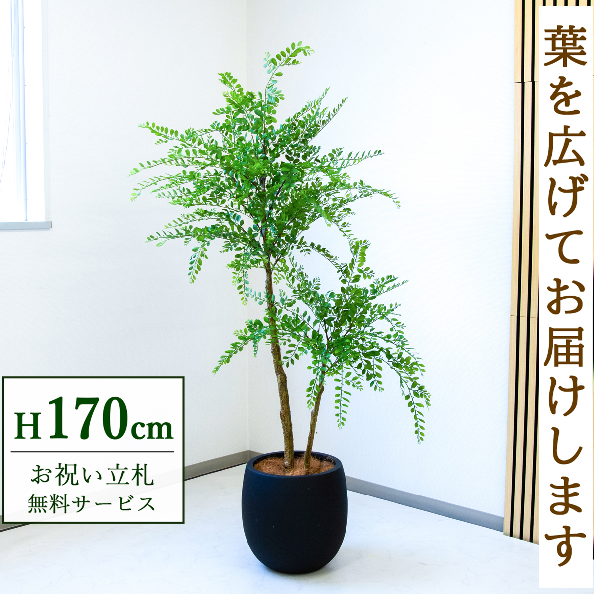 【すぐ飾れる】 フェイクグリーン トネリコ 170cm  大型 鉢付き / 法人・開店祝い 店舗・オフィス装飾 空間演出 立札無料・造花/PG1013-BAL35BK