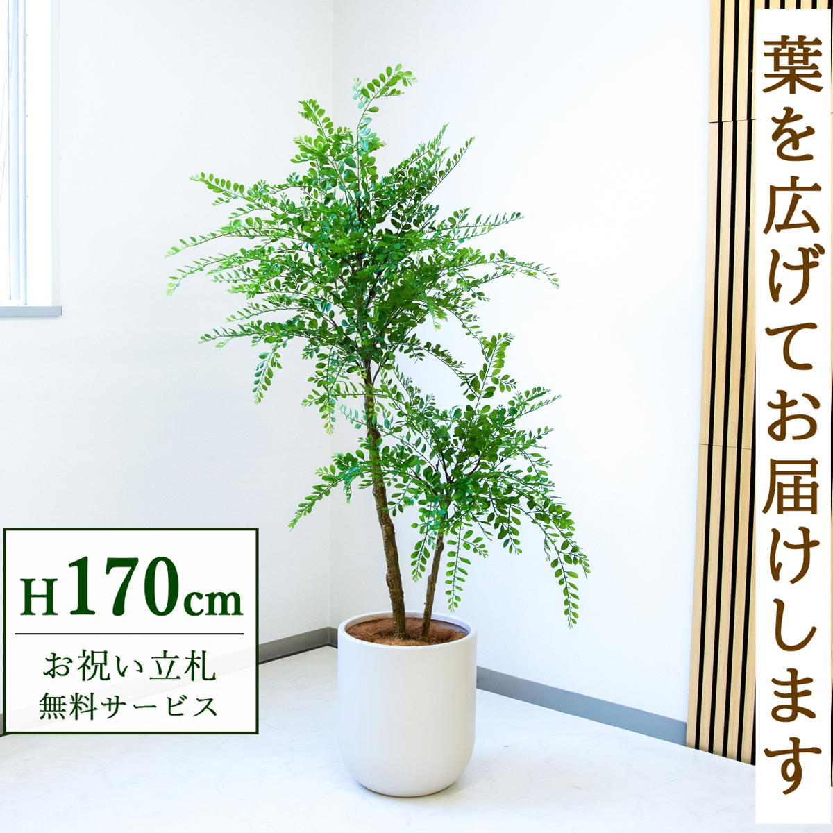 【すぐ飾れる】 フェイクグリーン トネリコ 170cm  大型 鉢付き / 法人・開店祝い 店舗・オフィス装飾 空間演出 立札無料・造花/PG1013-CHC33IV