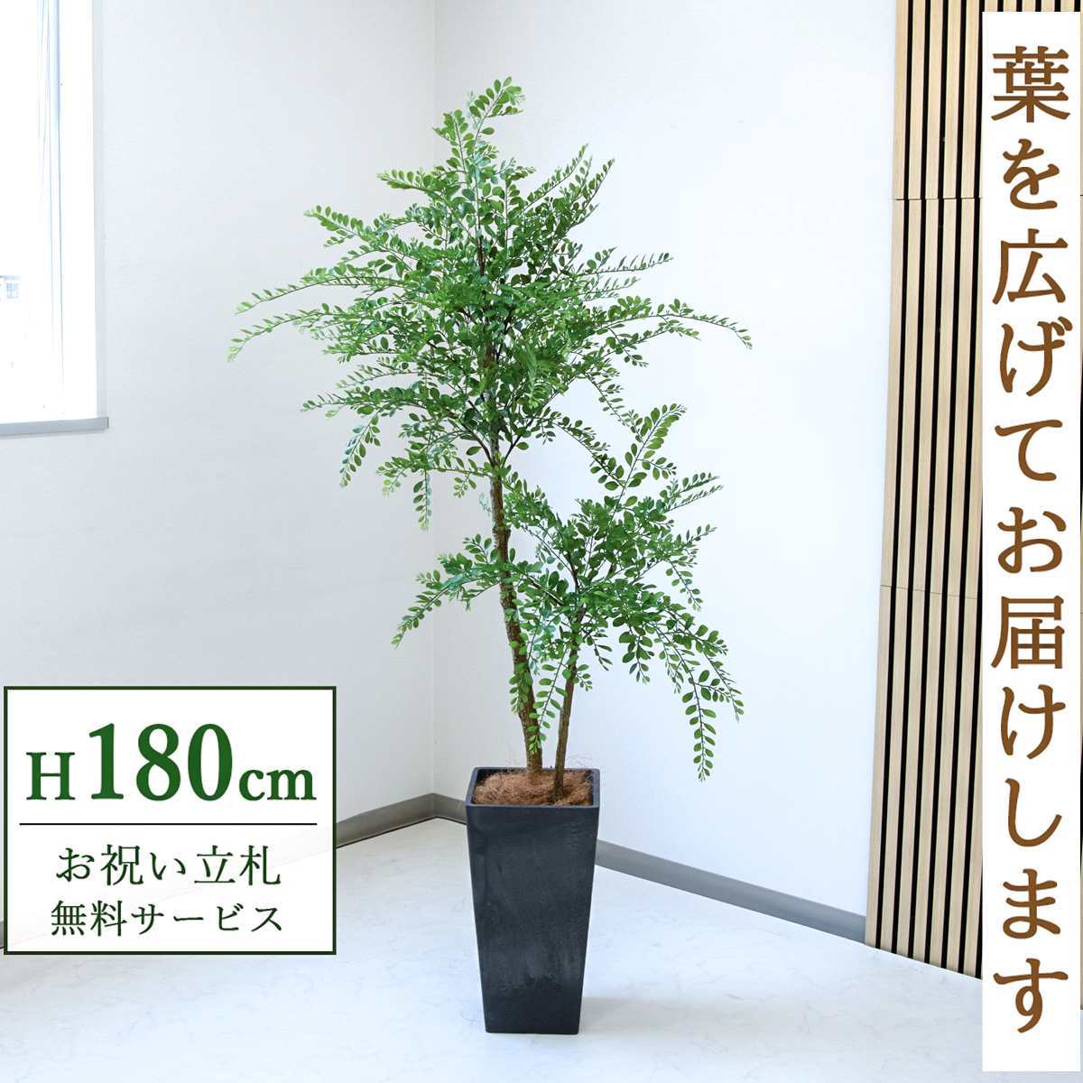 【すぐ飾れる】 フェイクグリーン トネリコ 180cm  大型 鉢付き / 法人・開店祝い 店舗・オフィス装飾 空間演出 立札無料・造花/PG1013-Q25BK