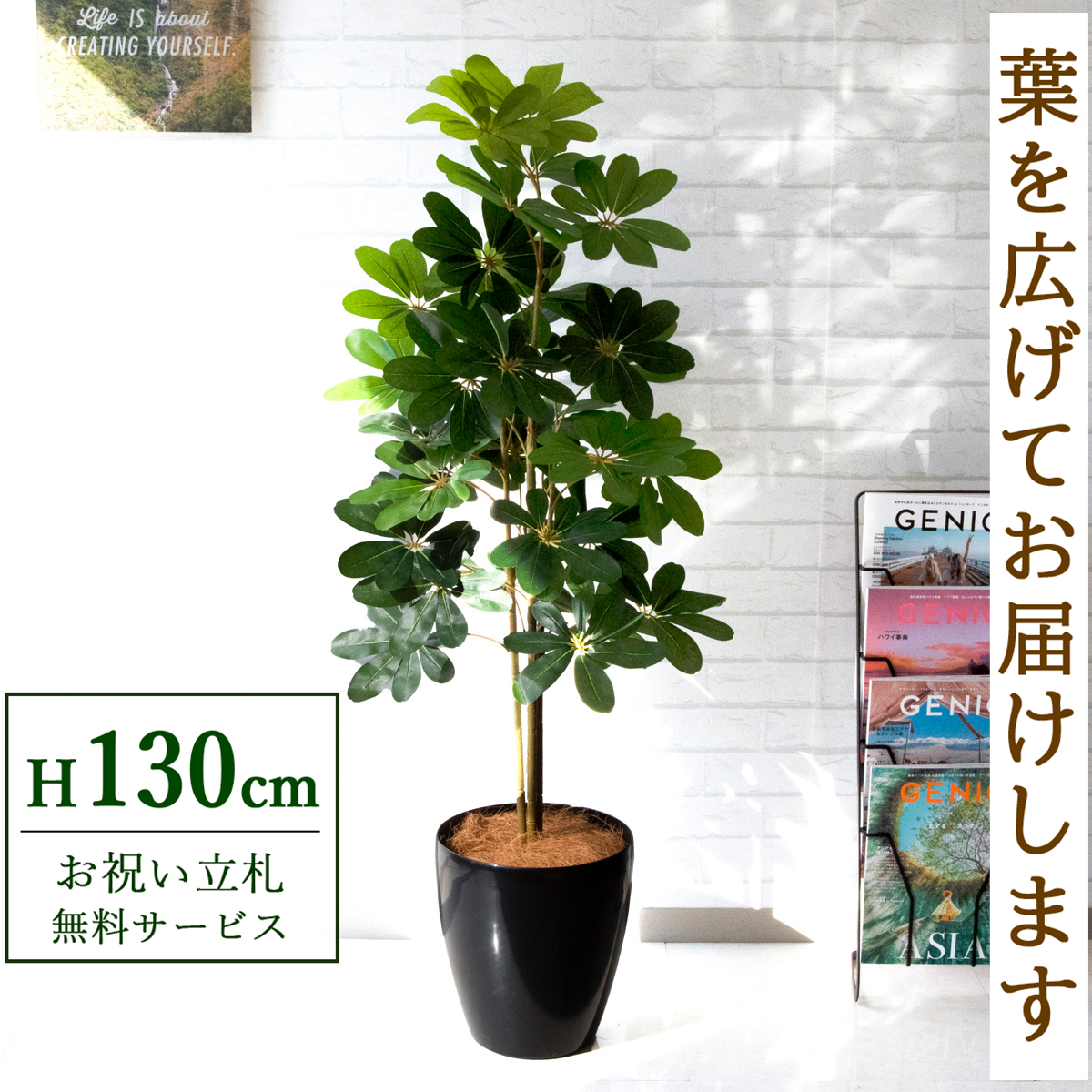 【すぐ飾れる】 フェイクグリーン シェフレラ カポック 130cm 鉢付き / 法人・開店祝い 店舗・オフィス装飾 空間演出 立札無料・造花/PG105-A265BK