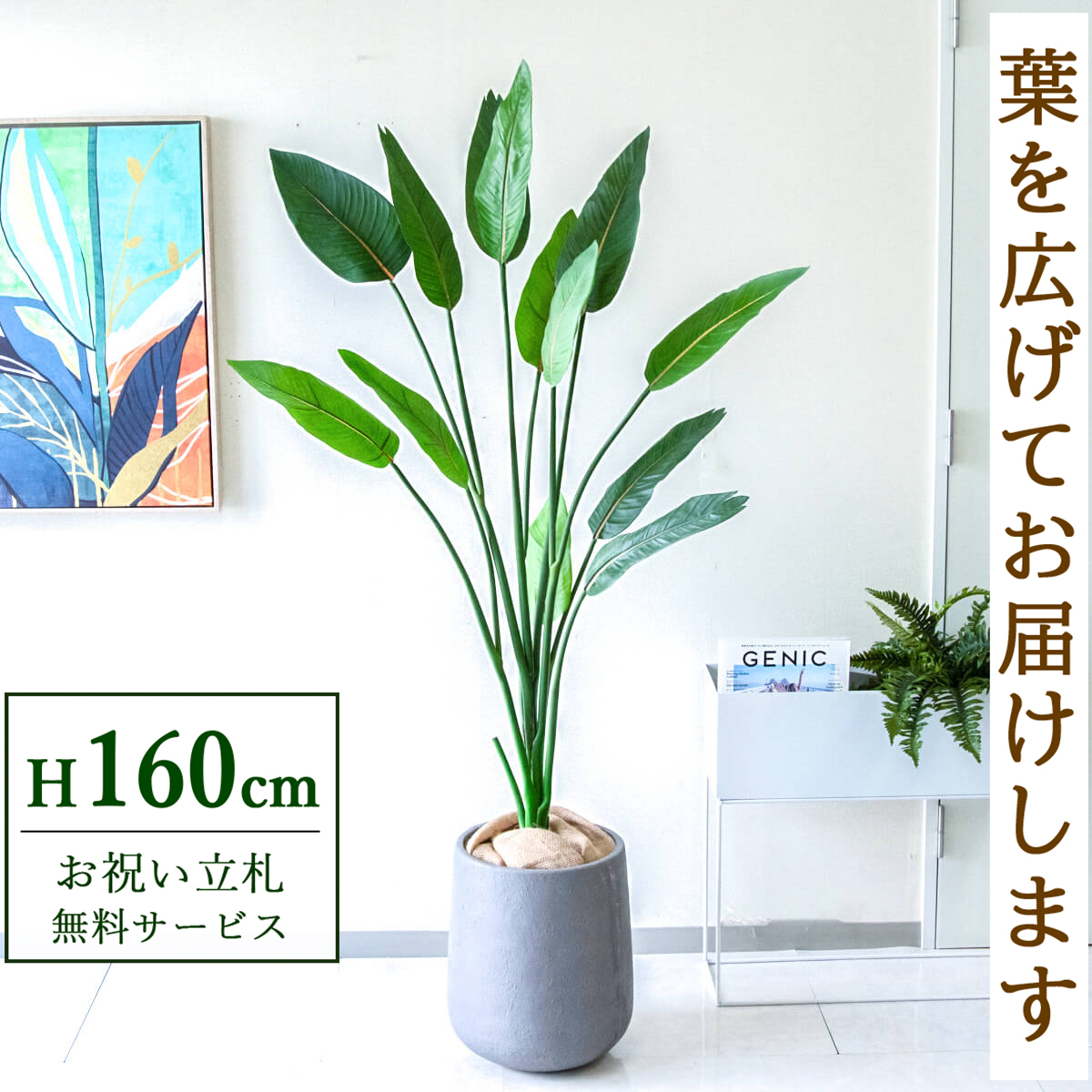 【すぐ飾れる】 フェイクグリーン ストレチア 160cm  鉢付き / 法人・開店祝い 店舗・オフィス装飾 空間演出 立札無料・造花/PG122-ACN29GY